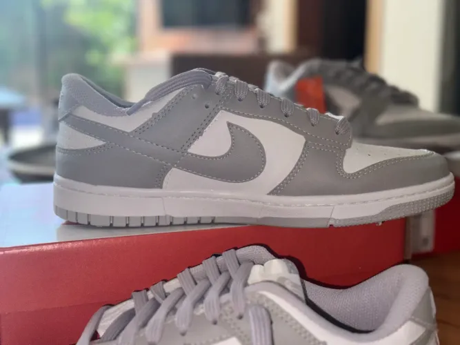 Tênis nike dunk 