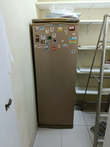 Freezer Vertical Brastemp 280l