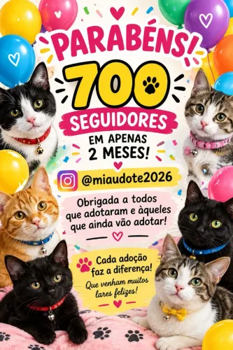 GATAS e GATOS