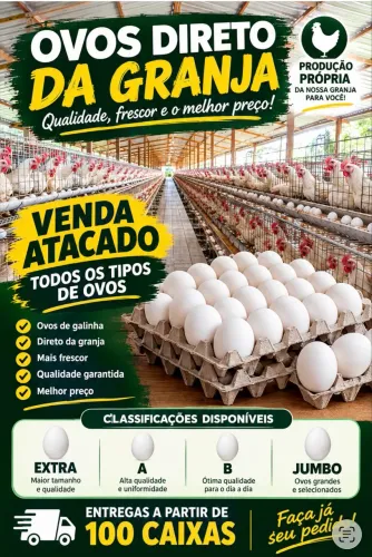 Ovos direto da granja 