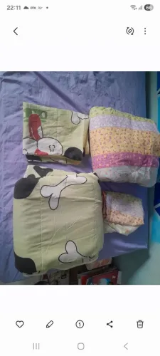 2 Edredons solteiro 2 fronha 