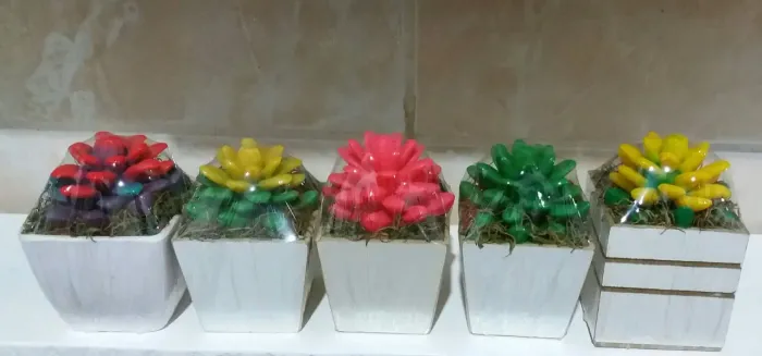 Velas suculentas decorativas