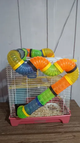Gaiola completa+ 3 hamister anão russo+ ração