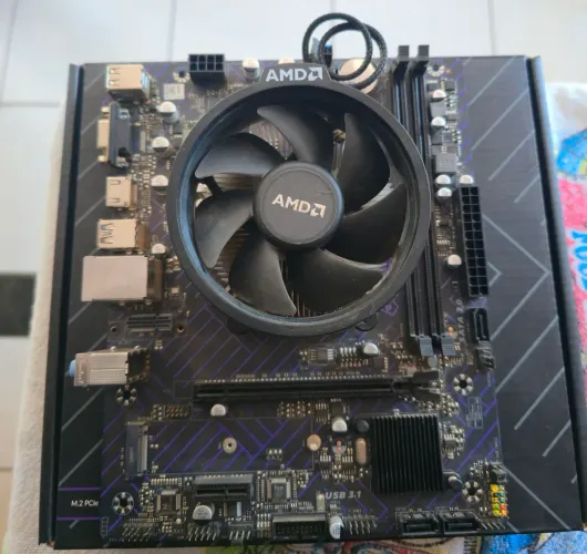 A520M + Ryzen 5 4600g