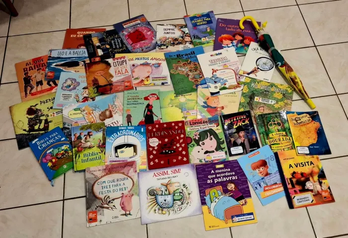 Lote de Livros Infantis