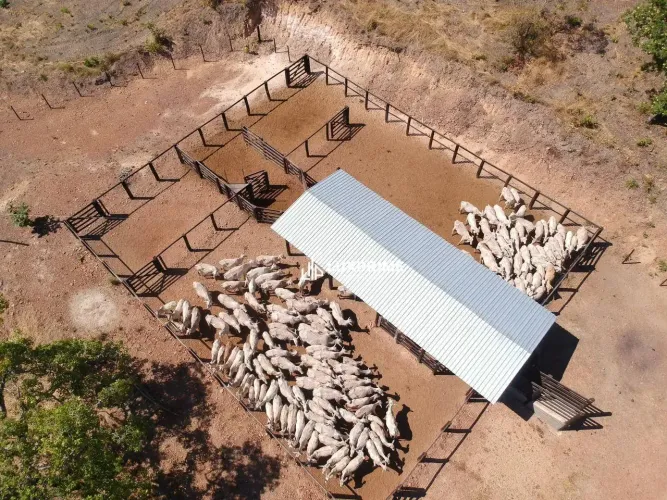 Fazenda à Venda, 39,5 Alq. por R$ 3.160.000,00 - Zona Rural - Tocantínia/TO