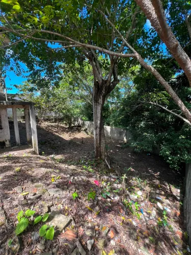 Vendo casa grande