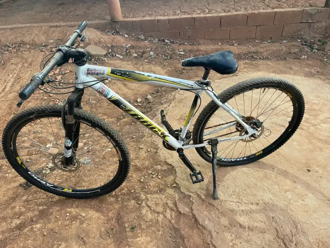Troco bicicleta em galinha ou pintinhos 