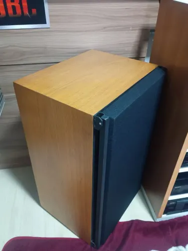 Caixas Polivox Vox 150 com Upgrade 