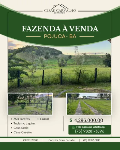 FAZENDA EM POJUCA - 358 TAREFAS