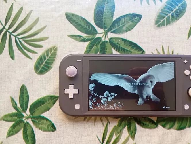 vendo ou troco nitendo switch lite desbloqueado