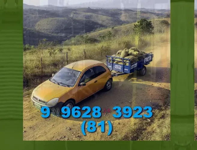 frete barato em jardim do salso )_ a eucalipto, transporte seguro e econômico!