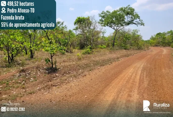 ÁREA BRUTA COM 270 HA DE POTENCIAL AGRÍCOLA | NASCENTES E CÓRREGOS