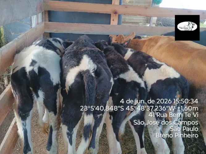 Vendo fasso rolo 