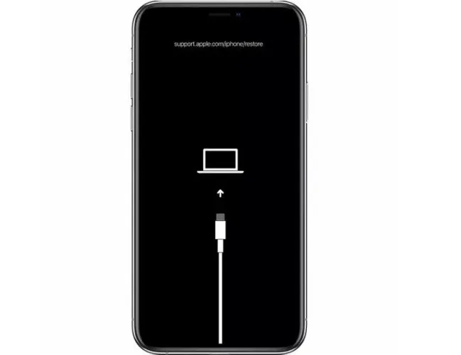 IPHONE 13 ( Retirad peças )