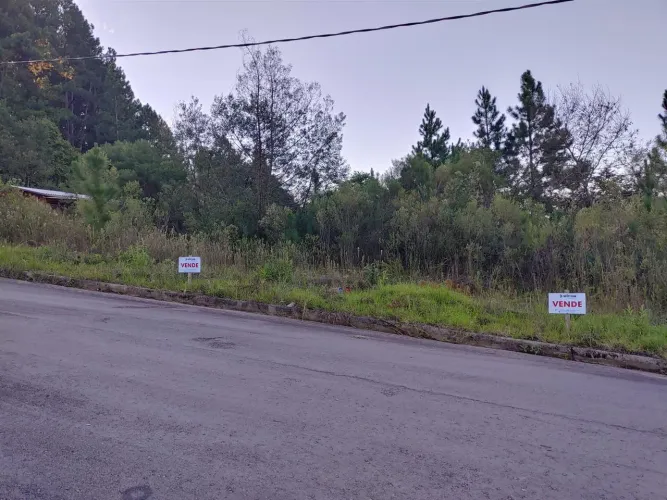 TERRENO PARA VENDA NO BAIRRO BELA VISTA