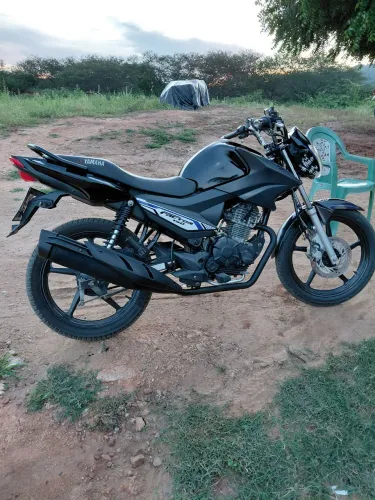 Factor 150 2021 no jeito de transferir 