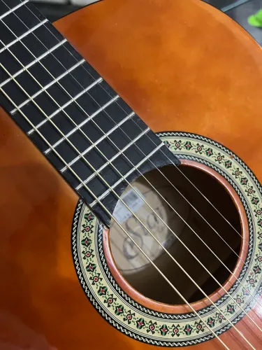 Violão Giannini Star Aço