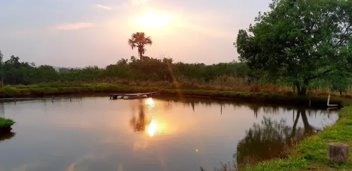 Fazenda à venda na Zona Rural em Uberlândia/MG