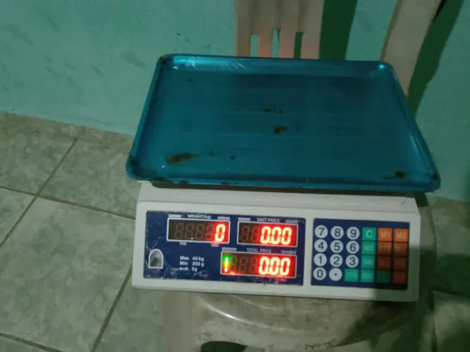 Balança bivolt 40 kg