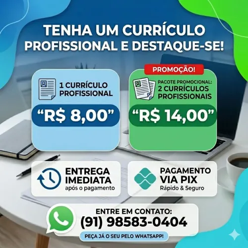 CURRÍCULOS PROFISSIONAIS