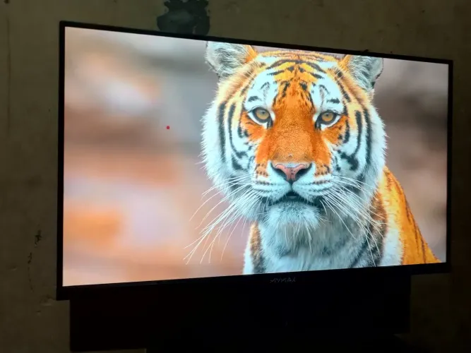 Monitor 