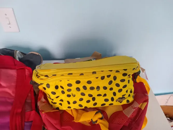 Bolsas  térmicas  semi novas