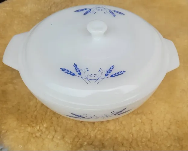 Refratário  Vintage com Tampa colorex