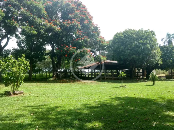 FAZENDA - 7,8 ALQUEIRES A 300 METROS DA BR 153 codigo: 88147