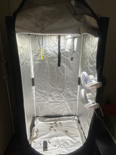 ESTUFA 80x160 C LED 120w.