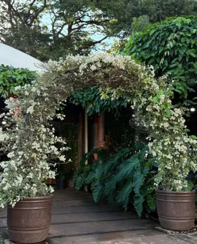 Arco de Plantas/Flores para Jardim. Decoração Exclusiva