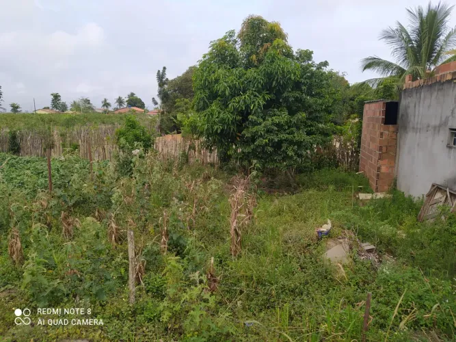 Terreno no bairro São João grande 