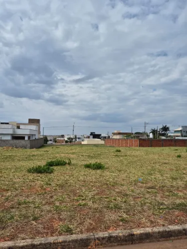 Excelente Lote no Vila Suíça 250 m²