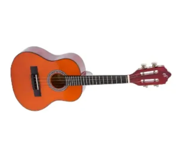 Cavaquinho Acústico Giannini Cavaco Cs-14n Cor Natural