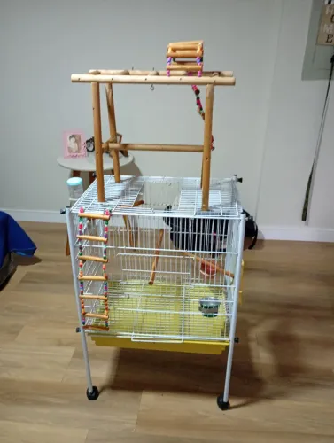 Gaiola para pássaro de estimação