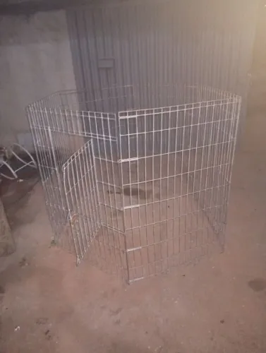 Vendo gaiola de cachorro ?