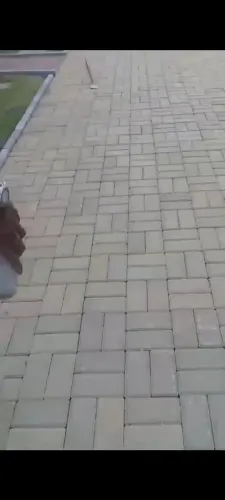 Preciso de profissional com experiência em calçamento