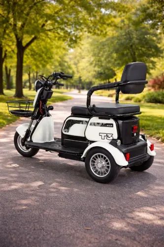 Triciclo elétrico confortável e econômico R$ 12.990