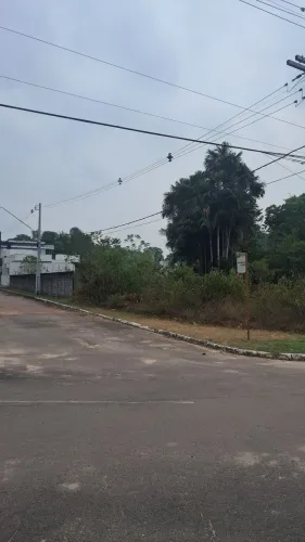 Serviços de roçador
