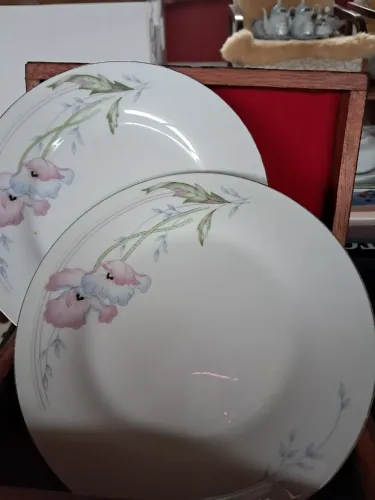 Pratos porcelana avulso 