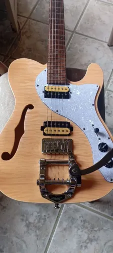 Guitarra Strinberg Thingline SGS 210T