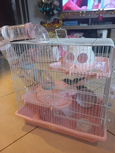 Gaiola Hamster  safari Grande