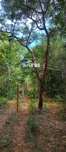 Terreno Rural em Pirenópolis