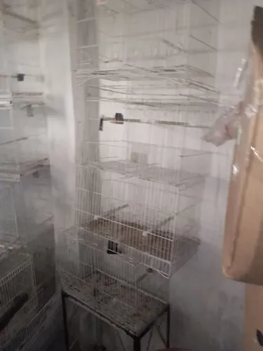 Vendo Gaiolas da gaiolart para canário só império,motivo parei de criar.zap *85 .