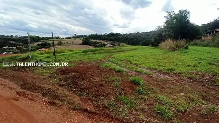 Terreno para Venda em Londrina, Fazenda da Nata