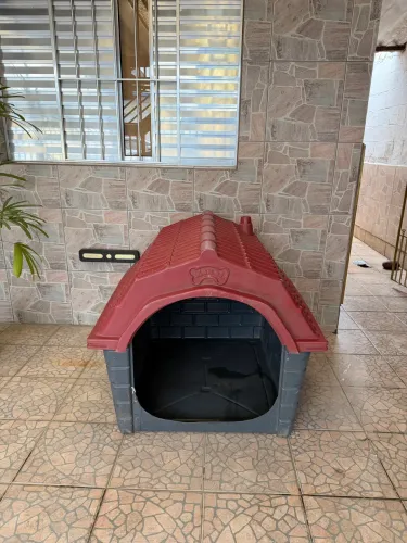 Casa de Pet número 6