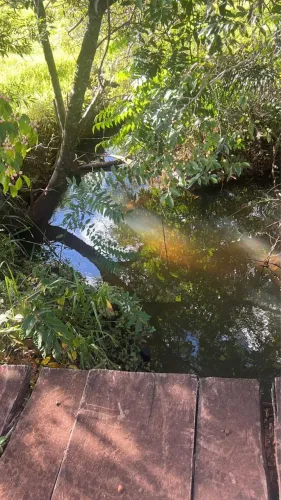 Fazenda dupla aptidão no campina verde 