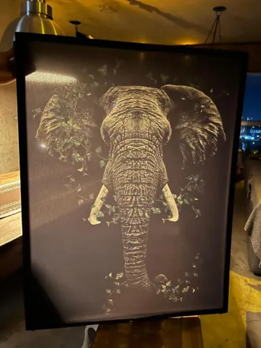Quadro de elefante translúcido 