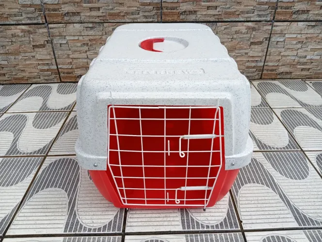 Transporte de pet