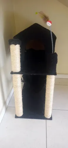 Venda